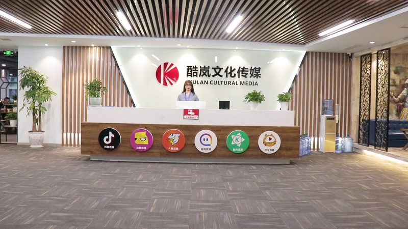 水墨风MG动画：探寻传统与现代的交融之美